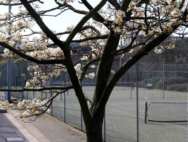 Islington Tennis Centre