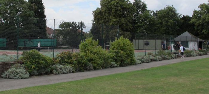 Croydon Road Recreation Ground 